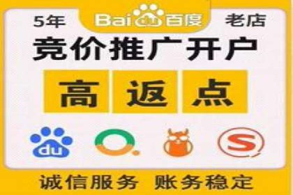 竞价推广代运营服务效果展示